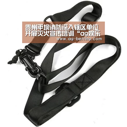 贵州平坝消防深入辖区单位开展灭火宣传培训“ag娱乐平台”(图1) ag真人赌场