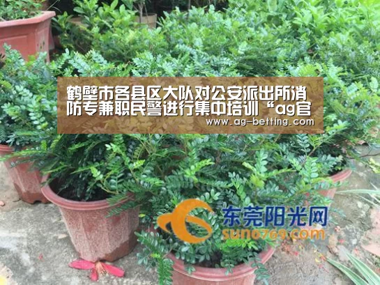 鹤壁市各县区大队对公安派出所消防专兼职民警进行集中培训“ag官网”(图3) ag直营平台