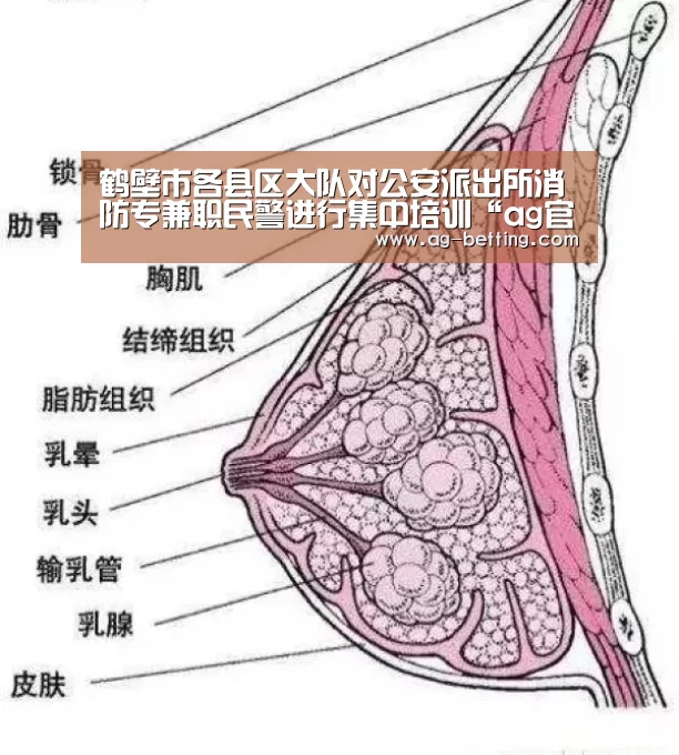 鹤壁市各县区大队对公安派出所消防专兼职民警进行集中培训“ag官网”(图2) ag真人赌场
