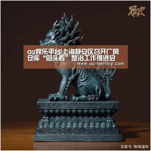 ag娱乐平台|上海静安区召开厂房仓库“回头看”整治工作推进会(图3) ag真人赌场