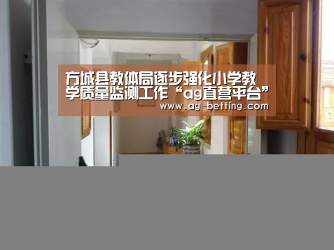 方城县教体局逐步强化小学教学质量监测工作“ag直营平台”(图1) ag官网